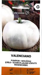 Pumpkin Valenciano Seeds